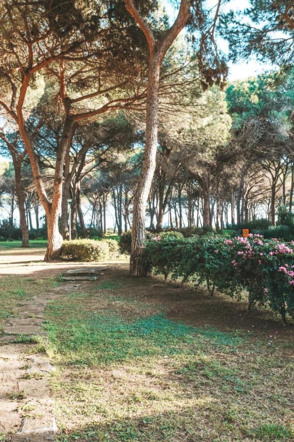 Villa Casa Di Gio Pula Exterior foto